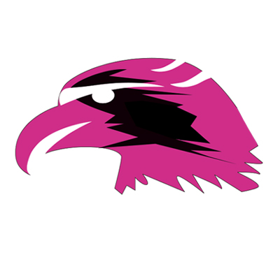 GFM Painting stylized pink and black hawk or eagle head logo inside a white circle