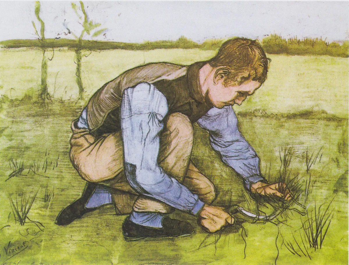 Boy Cutting Grass with a Sickle
