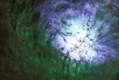 Northern Light: European Realism Beyond Impressionism – GFM Painting UK