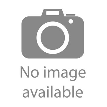 Pastel Portraits - GFM Painting