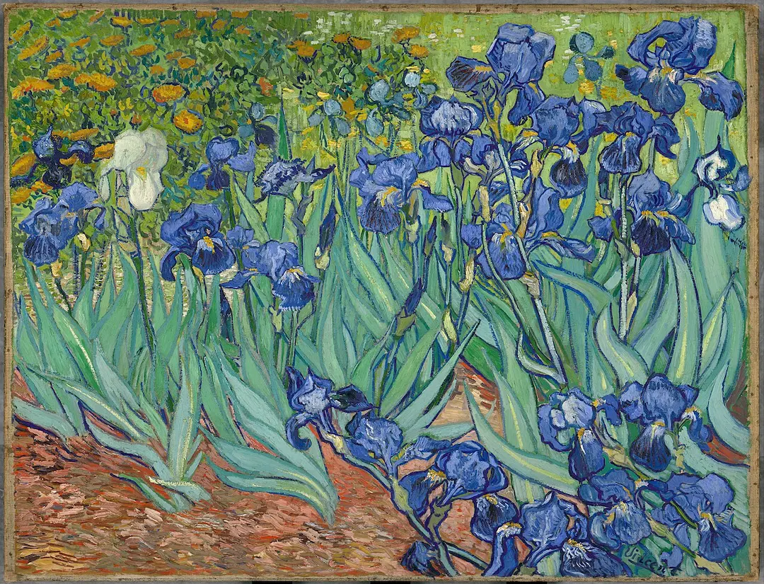 Buy Vincent Van Gogh Irises Oil Painting - Hand Painted Reproduction