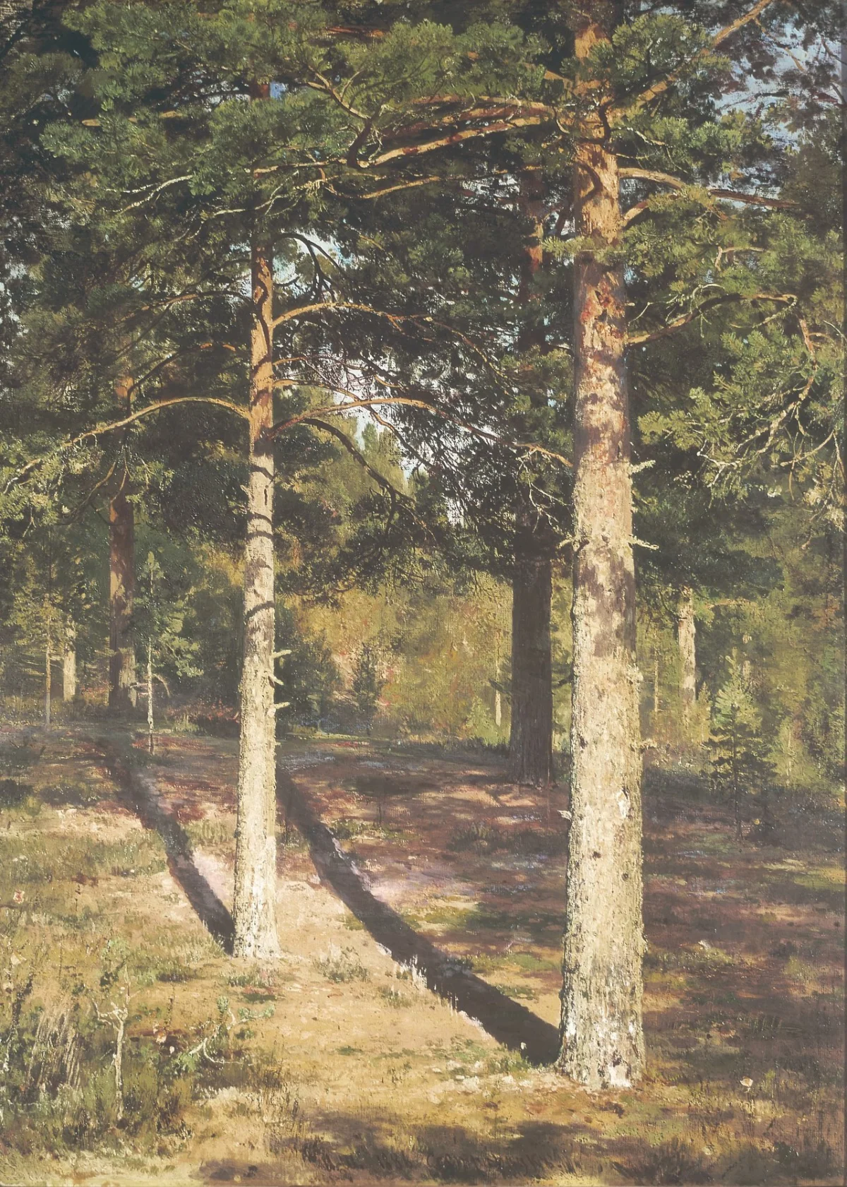 Buy Ivan Shishkin The Sun Lit Pines Oil Painting - Hand Painted Reproduction