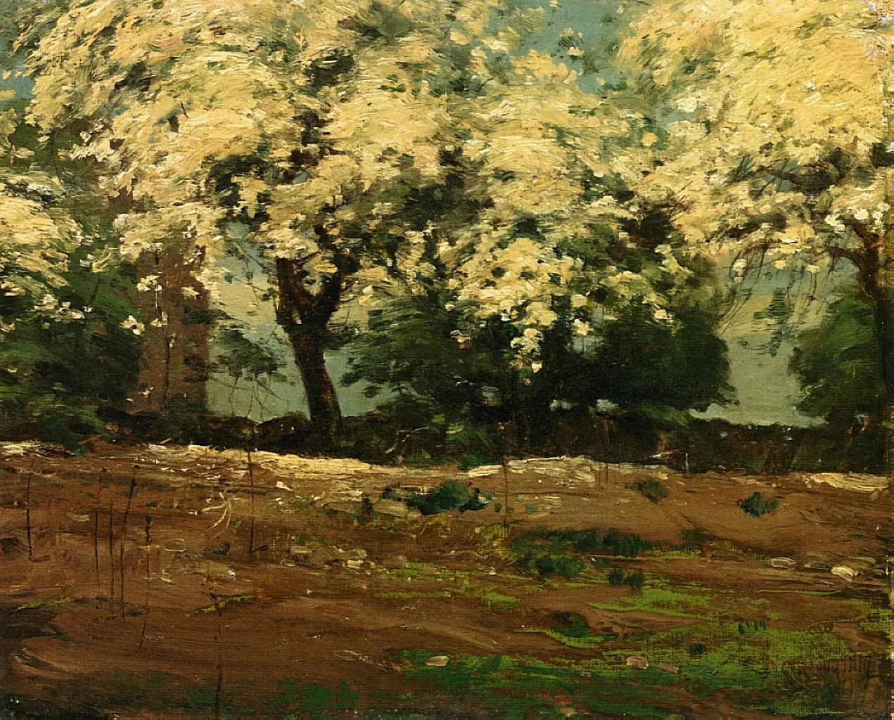 Buy Frederick Childe Hassam Blossoms Oil Painting - Hand Painted Reproduction