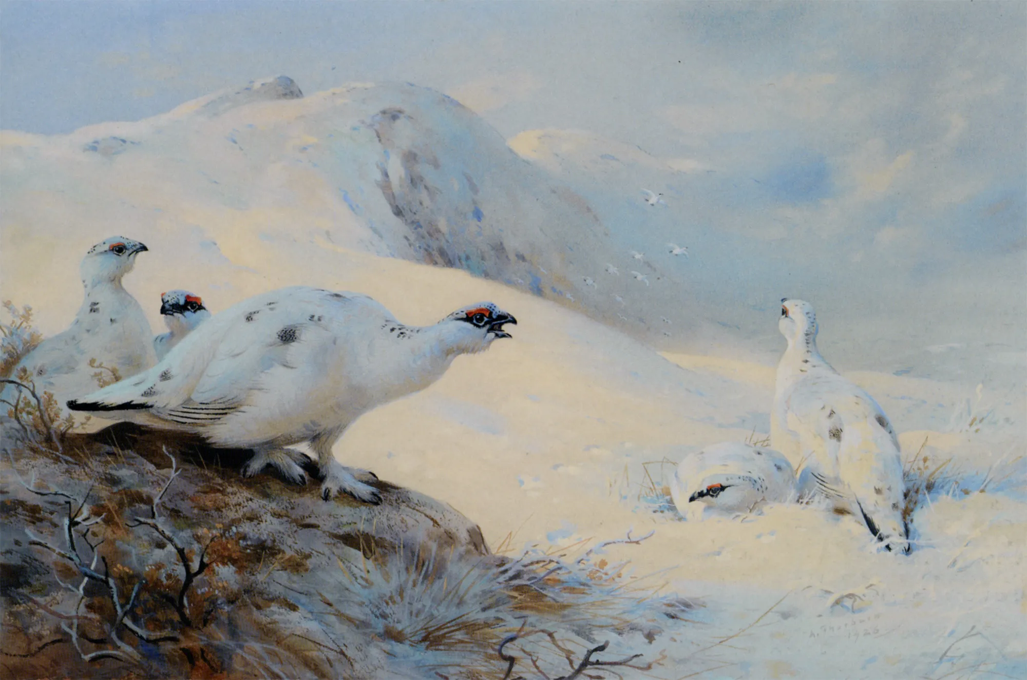 Buy Archibald Thorburn Ptarmigan Calling in the Snow Oil Painting - Hand Painted Reproduction