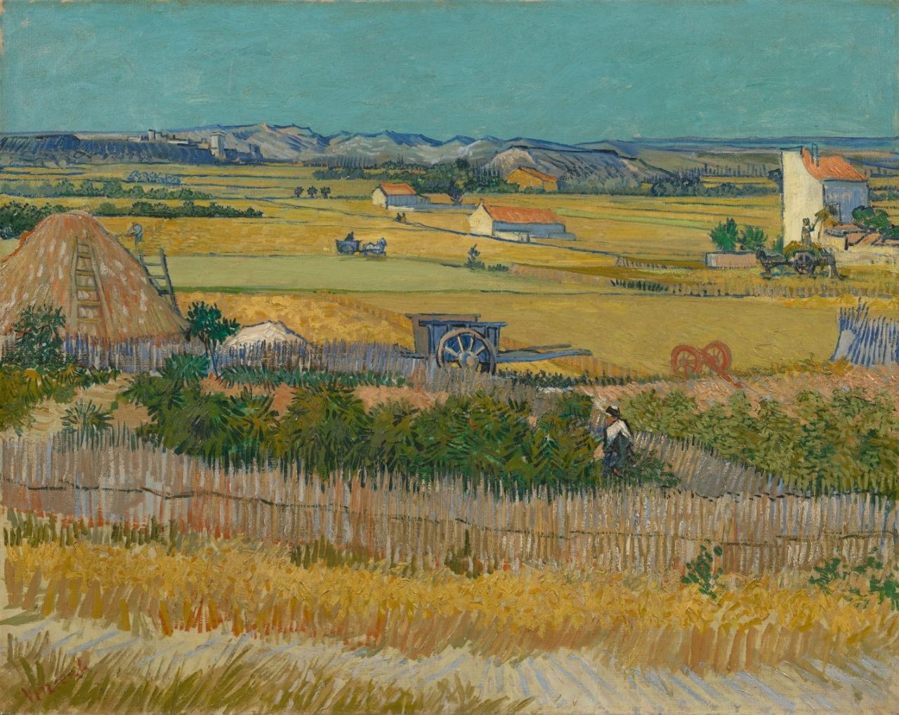 Harvest Landscape