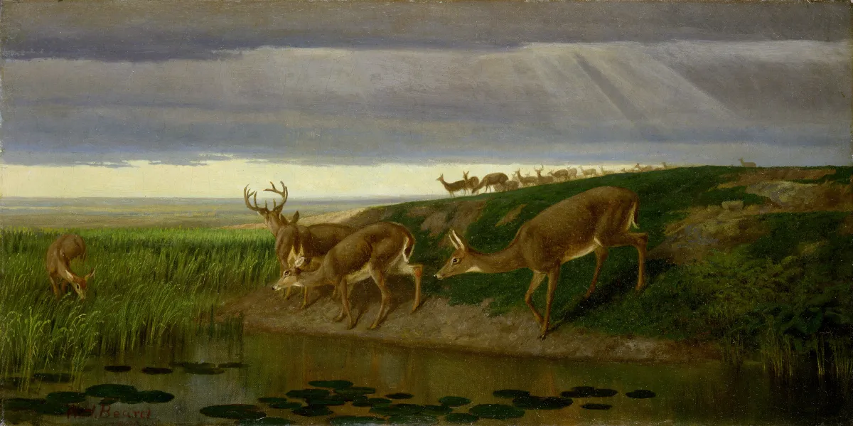 Deer on the Prairie by William Holbrook Beard