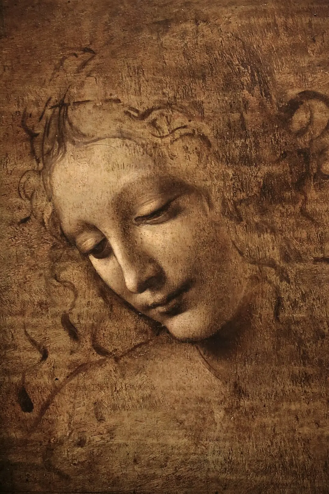 Female head (The Lady of the Dishevelled Hair) (or La Scapigliata) by Leonardo Da Vinci - Famous Oil Painting Hand Painted Art Pieces for Sale.