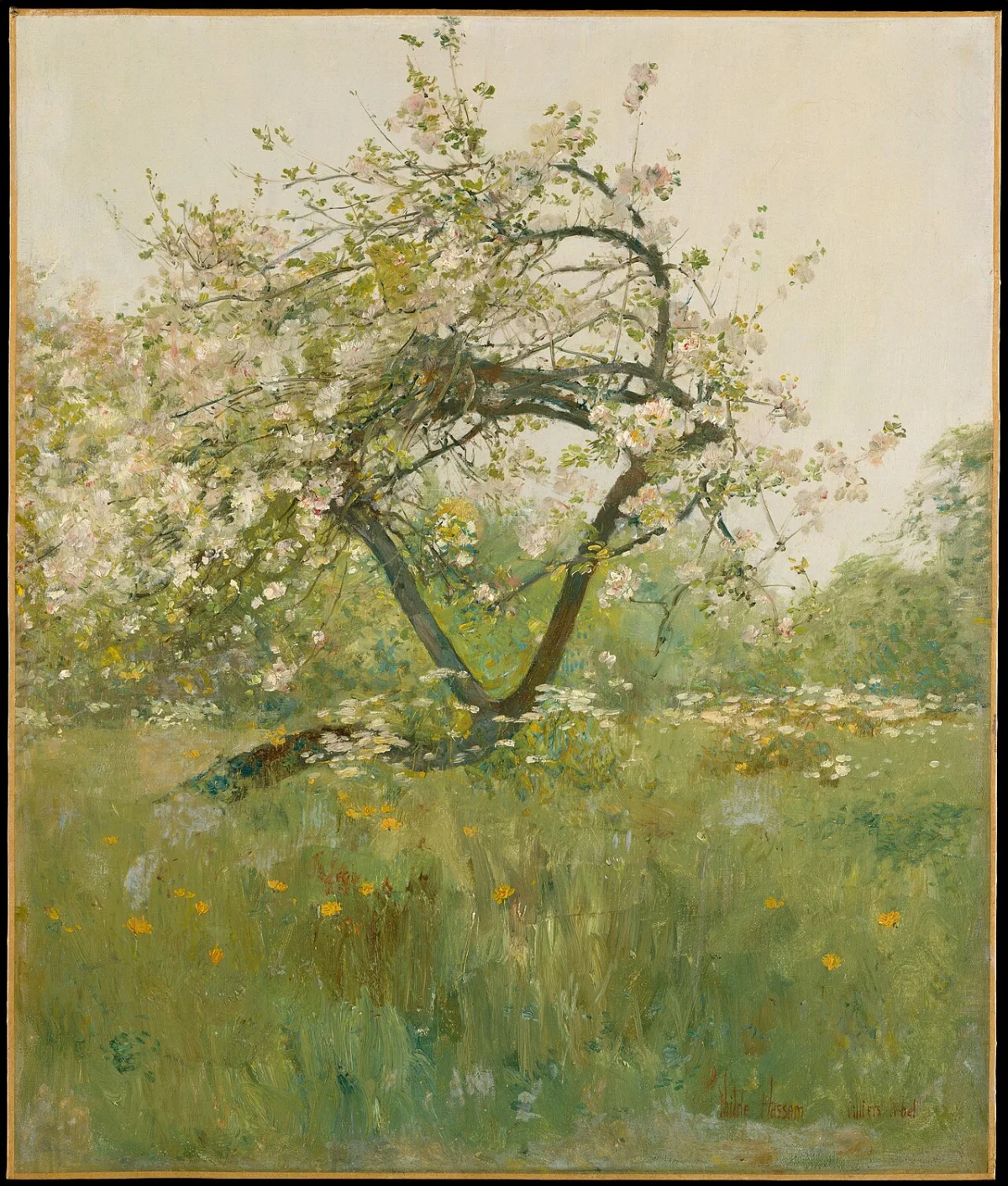 Peach Blossoms--Villiers-le-Bel by Frederick Childe Hassam