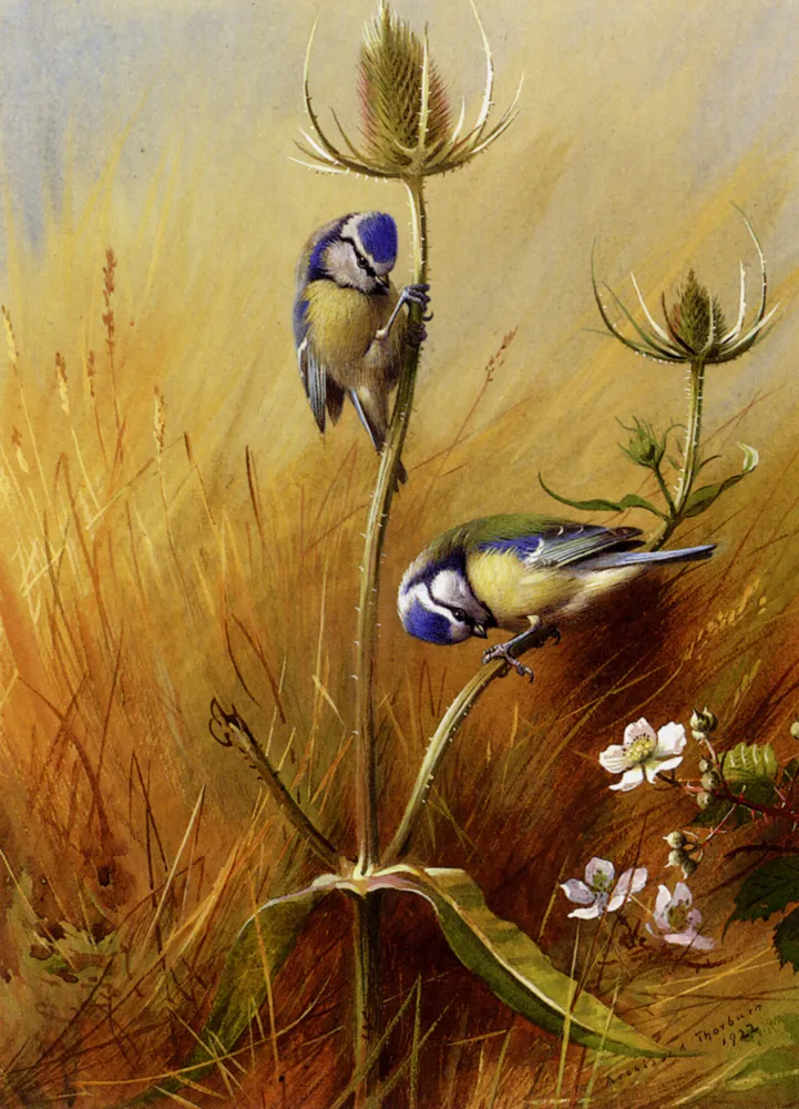 Bluetits On A Teasel by Archibald Thorburn