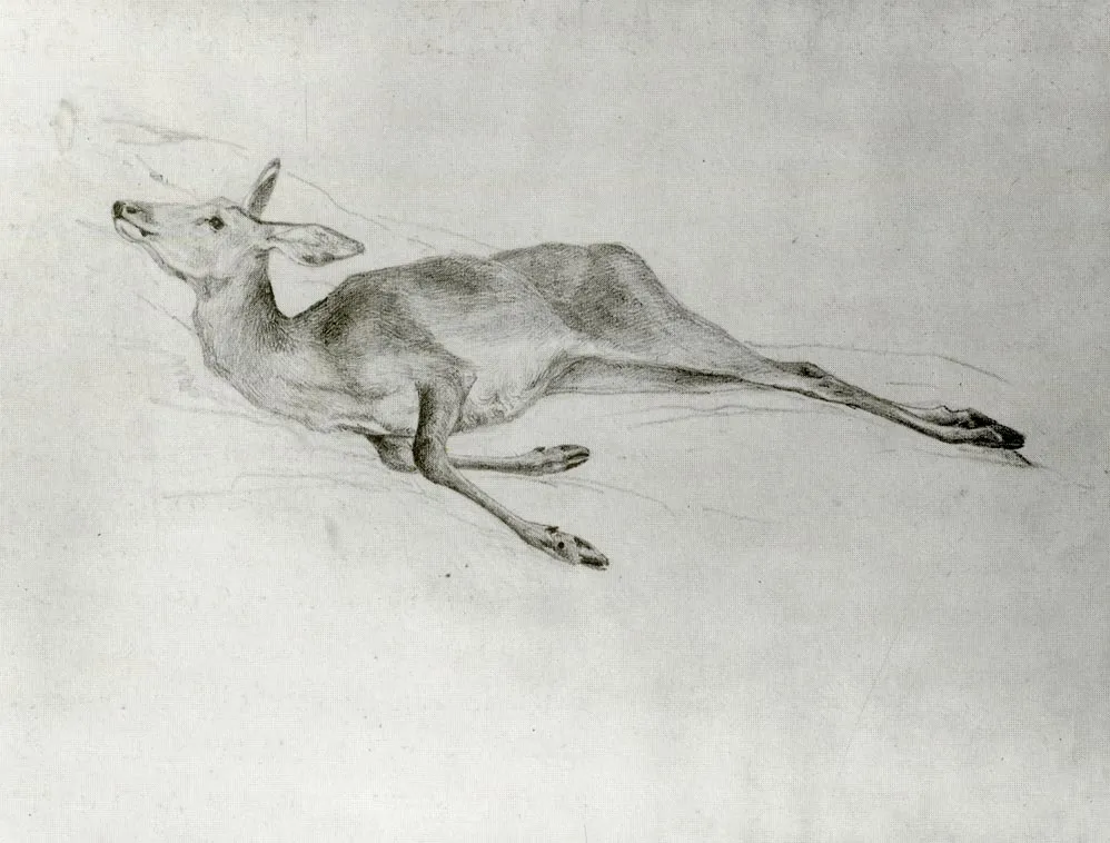 Deer by John Singer Sargent
