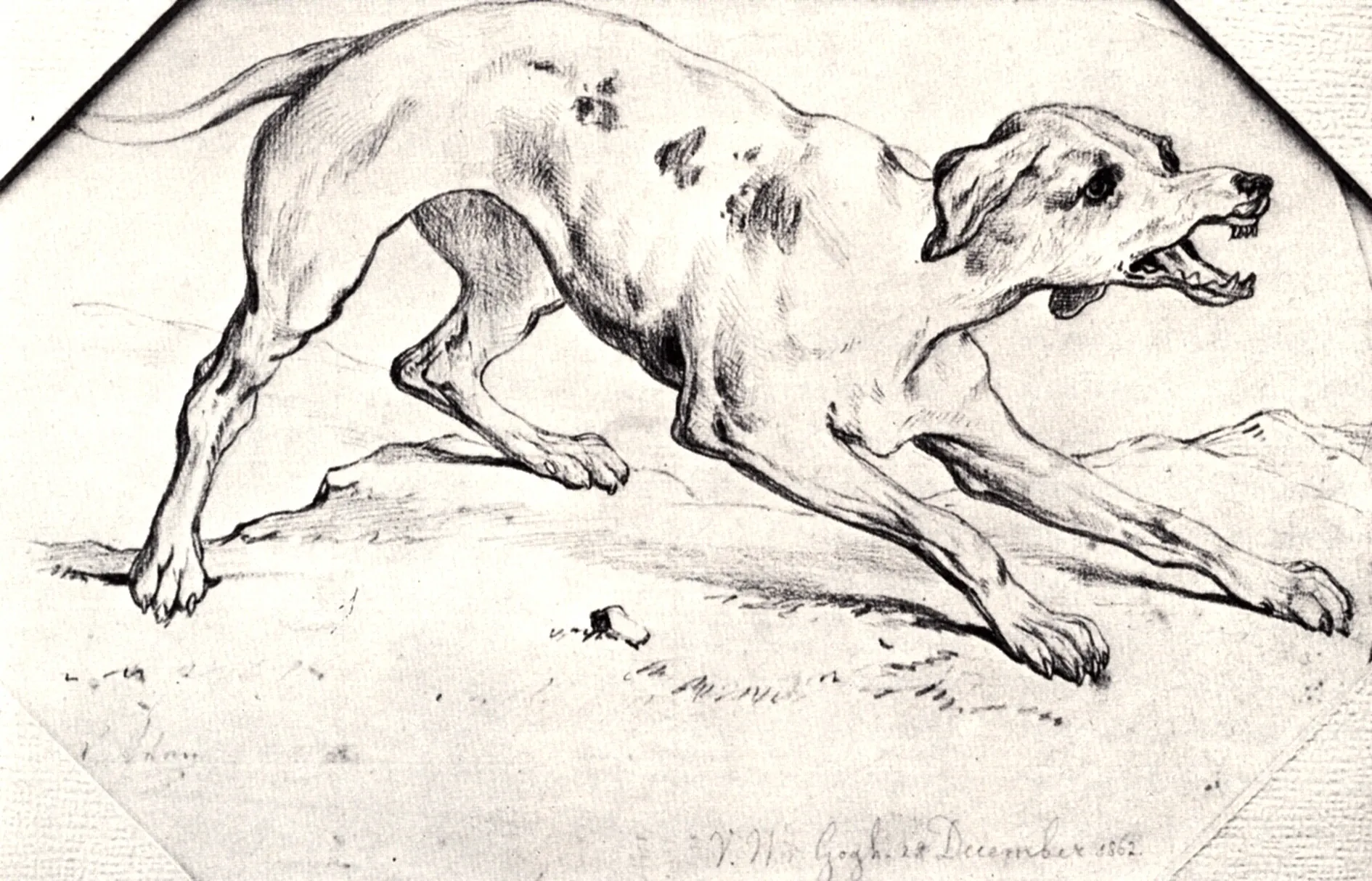 Dog by Vincent Van Gogh
