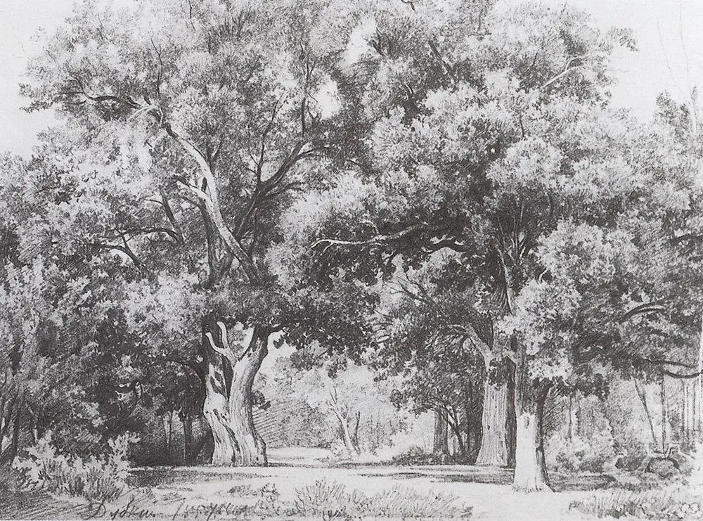 Oaks by Ivan Shishkin