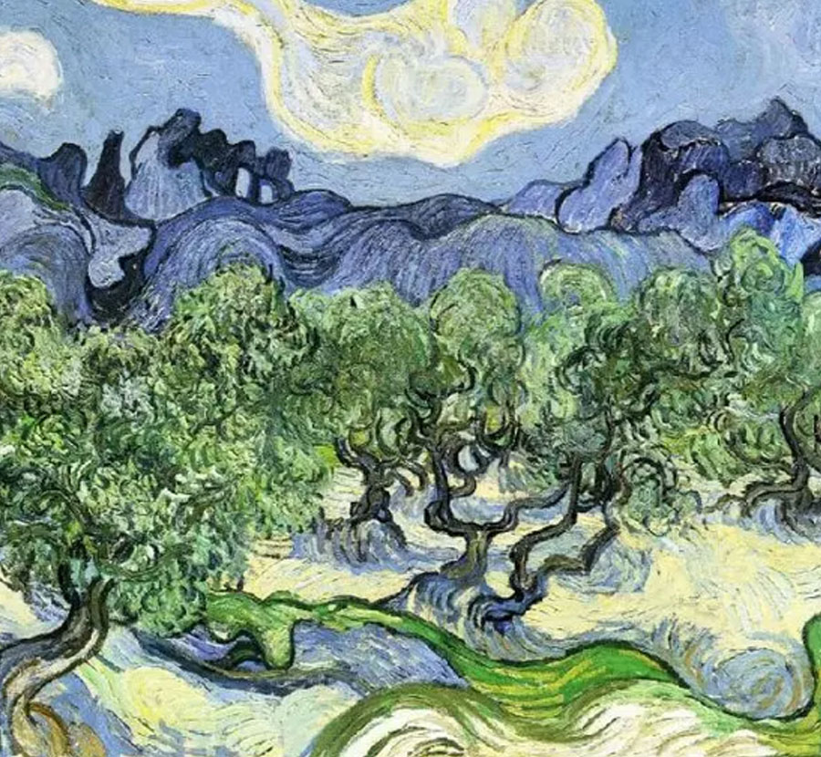 The Alpilles With Olive Tree
