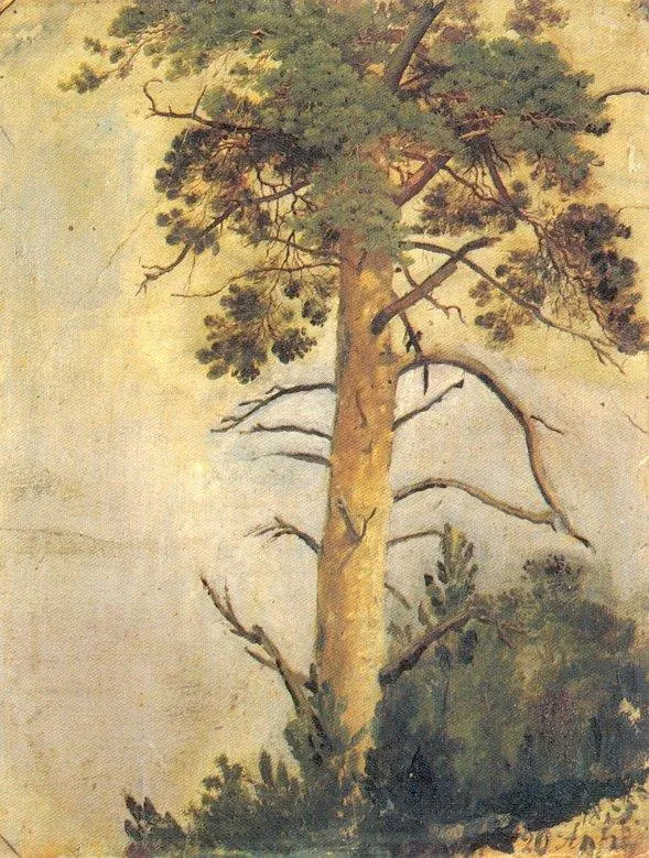 Pine on the cliff by Ivan Shishkin