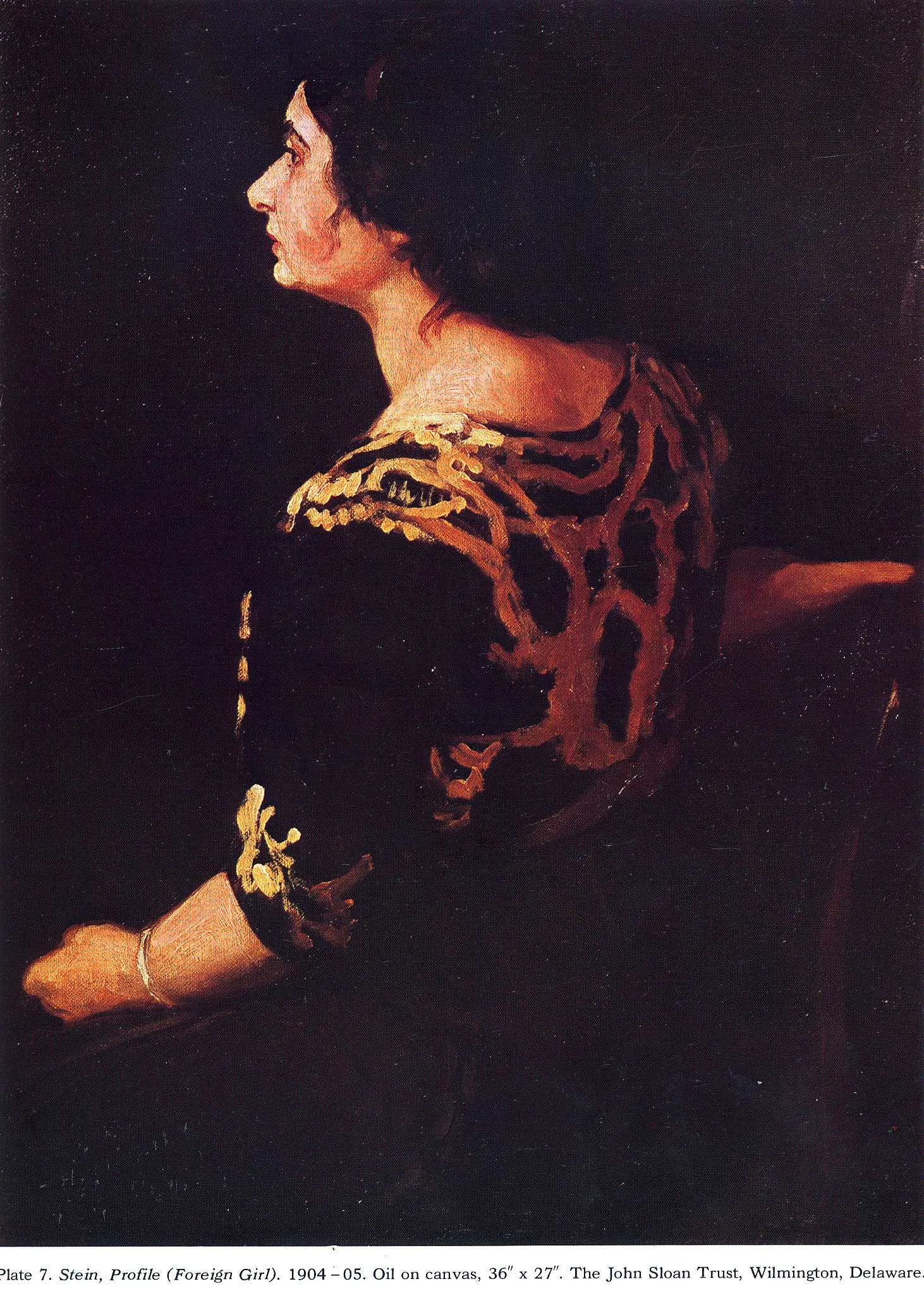 Stein, Profile by John Sloan