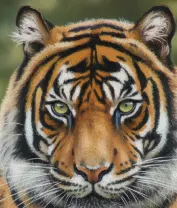 Other Pets Portraits From Photos GFM Painting