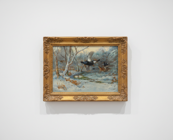 Black Grouse In Flight In A Winter Woodland by Naturalism Original Oil Painting Reproduction - GFM Painting