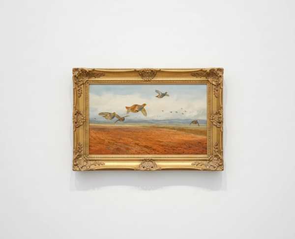 A Covey of Grey Partridge in Flight by Naturalism Original Oil Painting Reproduction - GFM Painting