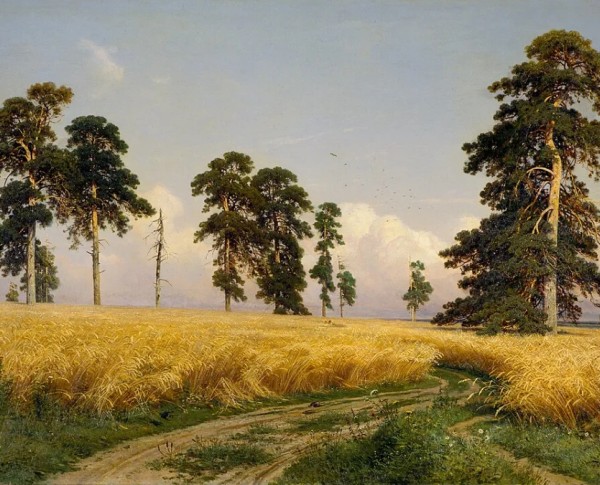 Rye Fields by Ivan Shishkin Original Oil Painting - GFM Painting