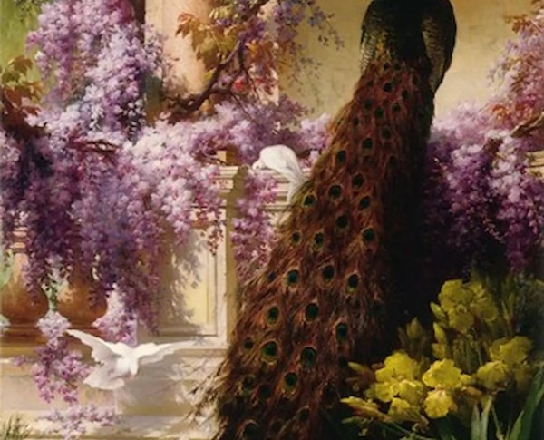 A Peacock and Doves in a Garden by Eugene Bidau Original Oil Painting - GFM Painting