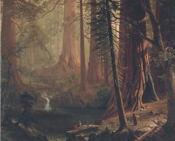 Giant Redwood Trees of California by Hudson River School Original Oil Painting - GFM Painting