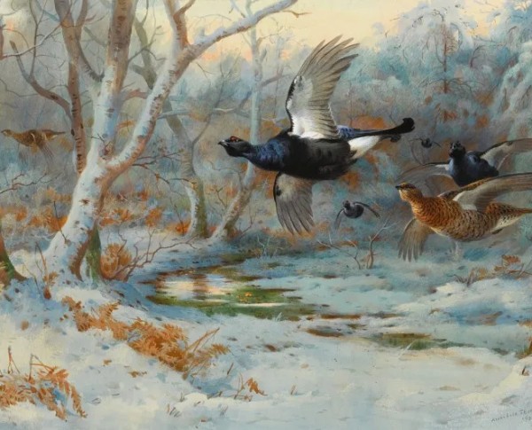 Black Grouse In Flight In A Winter Woodland by Naturalism Original Oil Painting - GFM Painting