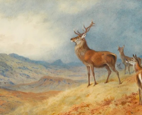 Red Deer In A Highland Landscape by Naturalism Original Oil Painting - GFM Painting