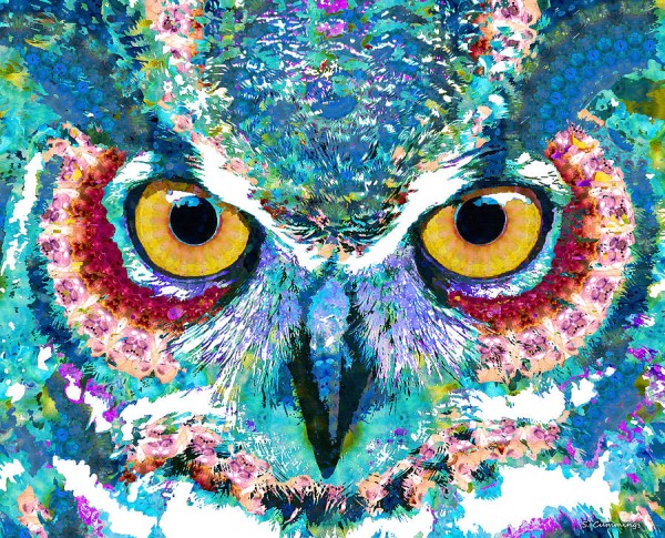 owl1