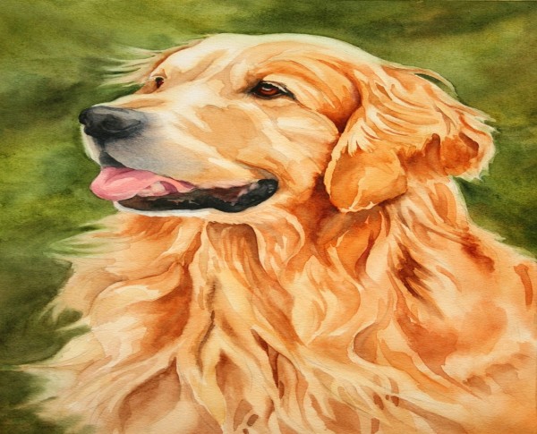 dog1