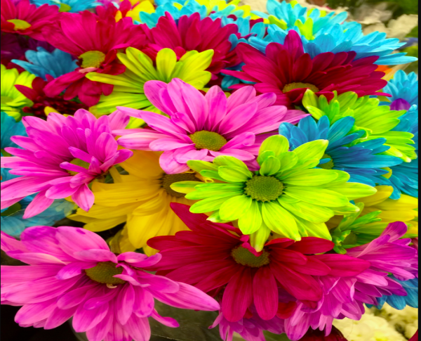 flowers1
