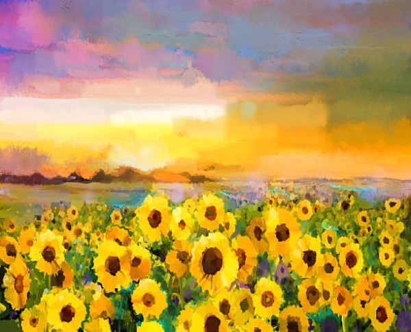 sunflower